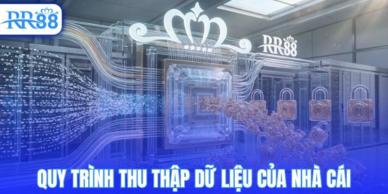 Quy trình và các dữ liệu được nhà cái thu thập